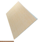 Beige Stripe printed