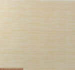 Beige Stripe printed - Image 2