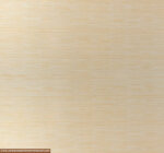 Beige Stripe printed - Image 3