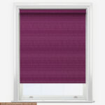 SUPREME BLACKOUT PLUM